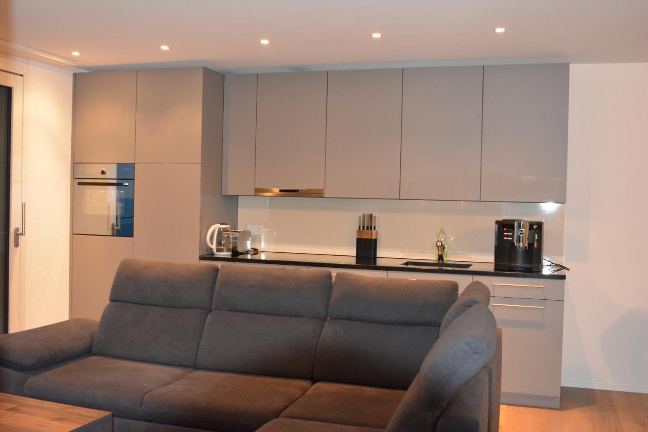 Brand New Apartment Surrounded By Nature Schattdorf Экстерьер фото